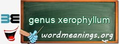 WordMeaning blackboard for genus xerophyllum